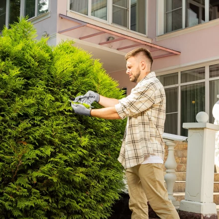 Секатор прямого реза Сибртех, 225 мм, металлические рукоятки, нижняя в ПВХ-оболочке, 604695 купить в Тобольске