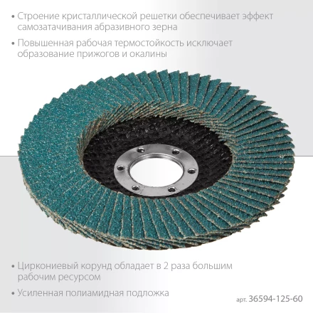 Круги лепестковые циркониевые торцевые 36594-125-60 купить в Тобольске