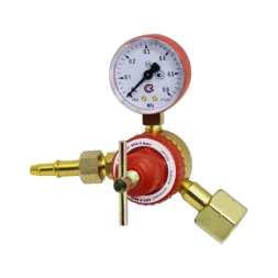 Газовый редуктор пропановый БПО-5-5