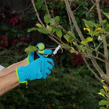 Нож садовый Palisad, 165 мм, складной, окулировочный, пластиковая рукоятка, 790547 купить в Тобольске