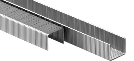 Скобы тип 80, 10 мм, особотвердые, ЗУБР &quot;ПРОФЕССИОНАЛ&quot; 31880-10, 5000 шт 31880-10 купить в Тобольске