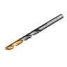 Сверло по металлу, 4,2 мм, HSS-Tin, Golden Tip, 10 шт. Denzel 717210 купить в Тобольске