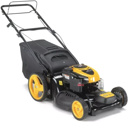 Бензиновая газонокосилка Partner P53-625DW купить в Тобольске