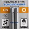 ЗУБР Hex 5, 50 мм, 2 шт, торсионные биты, Профессионал (26017-5-50-2) купить в Тобольске