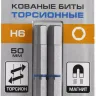 ЗУБР Hex 6, 50 мм, 2 шт, торсионные биты, Профессионал (26017-6-50-2) купить в Тобольске