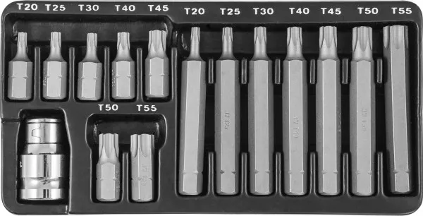 Набор вставок-бит 30 и 75 мм Torx T20-T55 15 предметов S29Н4215 S Jonnesway 47397 купить в Тобольске