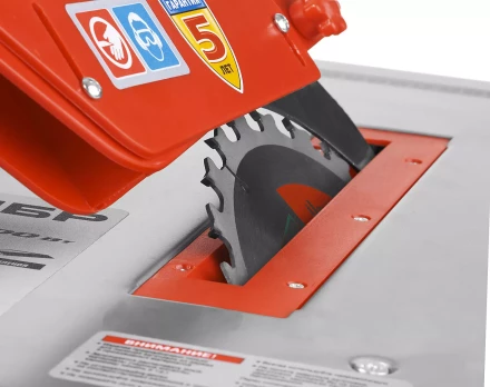 Станок распиловочный ЗПДС-200-800 серия МАСТЕР купить в Тобольске