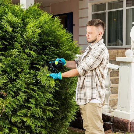 Секатор прямого реза Palisad 215 мм, двухкомпонентные рукоятки, Luxe 604775 купить в Тобольске