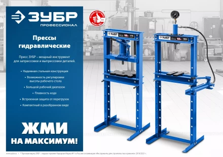 ЗУБР ПГН-12, 12 т, гидравлический пресс с гидронасосом и манометром, Профессионал (43072-12) купить в Тобольске