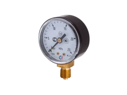 Манометр ТМ-210Р 25МРа M12x1,5 2,5 ГАЗ Сварог