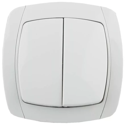 Выключатель СВЕТОЗАР &quot;CITY LIGHT&quot; двухклавишный в сборе, белый, 10А/~250В SV-54234-W купить в Тобольске