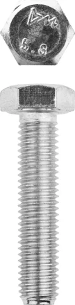Болт ЗУБР &quot;МАСТЕР&quot; с шестигранной головкой, ГОСТ 7798-70, класс прочности 5.8, оцинкованный, M12x55мм, 5кг 303080-12-055 купить в Тобольске