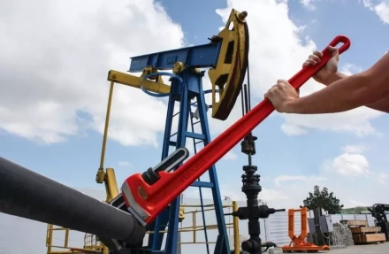 Прямой трубный ключ для тяжелых работ 48  31040 купить в Тобольске