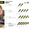 Набор STAYER "MASTER": Отвертки слесарные, двухкомпонентная рукоятка, магнитный наконечник, 2 / 6мм - 100мм, 2шт 2513-H2_z01 купить в Тобольске