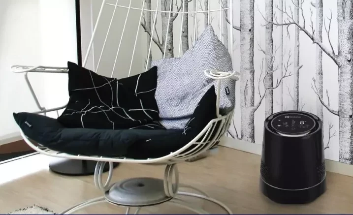 Мойка воздуха ELECTROLUX EHAW-9010D mini купить в Тобольске