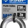 Рым-гайка DIN 582, оцинкованная, М10, 1 шт, ЗУБР Профессионал 304326-10 304326-10 купить в Тобольске