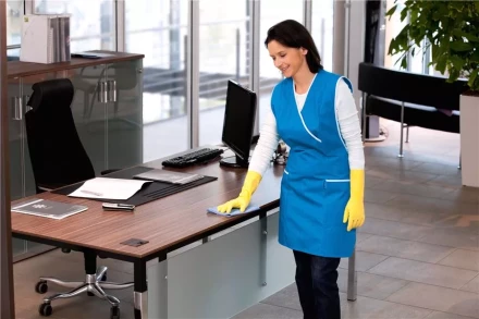 Средство для чистки поверхностей CA 30 C 1 л KARCHER купить в Тобольске