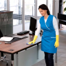 Средство для чистки поверхностей CA 30 C 1 л KARCHER купить в Тобольске