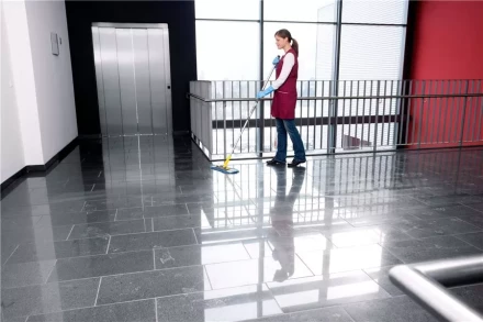 Средство для чистки поверхностей CA 30 C 1 л KARCHER купить в Тобольске