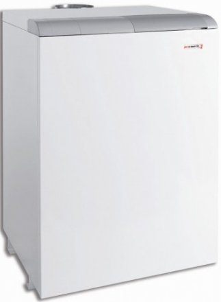 Котел Protherm 40 TLO купить в Тобольске