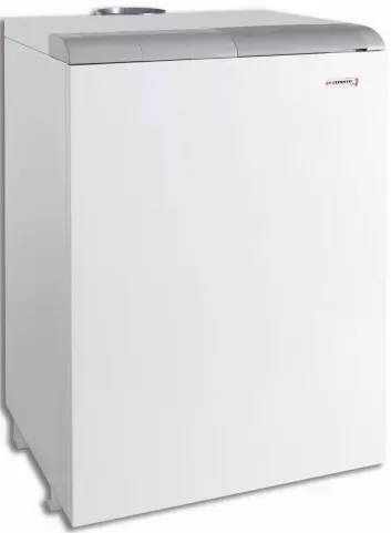Котел Protherm 40 TLO купить в Тобольске