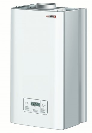 Котел Protherm PANTERA 25 KOV 25 кВт купить в Тобольске