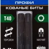 ЗУБР TX 40, 50 мм, 2 шт, ударные биты, Профессионал (26025-40-50-S2) купить в Тобольске
