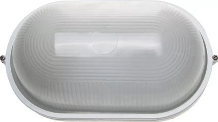 Светильник уличный СВЕТОЗАР влагозащищенный, овал, цвет белый, 100Вт SV-57203-W купить в Тобольске