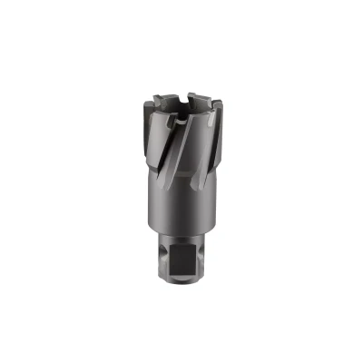 Сверло корончатое твердосплавное ALTECO TCT 12х35 82771